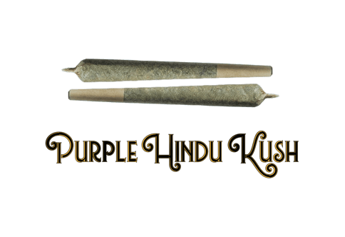 JOINTS | PURPLE HINDU KUSH | INDICA | 0.75 GRAM | X2
