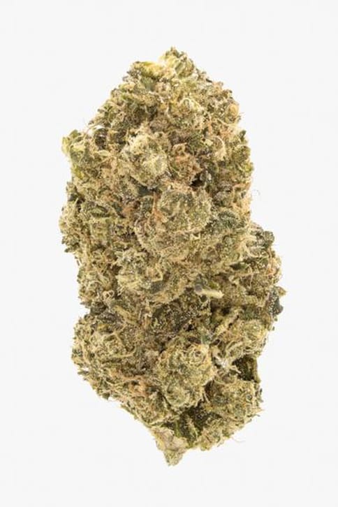 Notorious THC