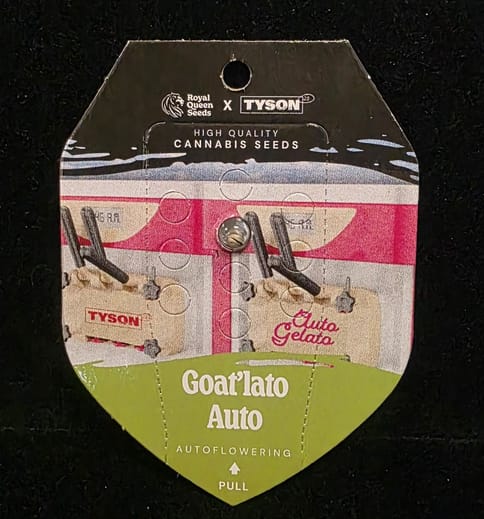 Auto Flowering Seeds - Goat'lato Auto (Royal Queen x Tyson 2.0)