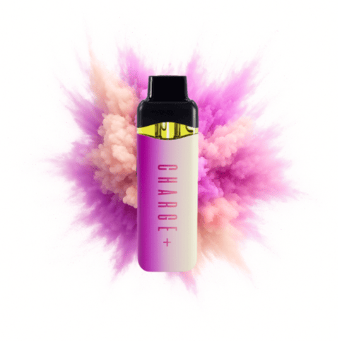 Vanilla Chai x Berry Blast 2-Strain Disposable Vape - Disposable 2g