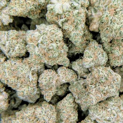 Pineapple Whip - Deli Flower - $5/g