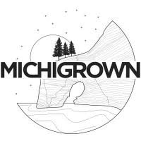 G-Squared 1g Pre-roll | Michigrown