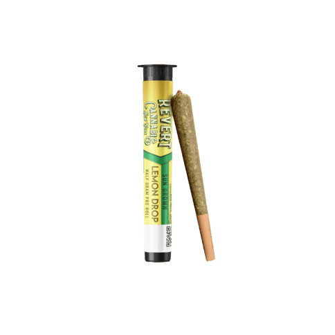 Revert - Preroll .5g - Lemon Drop