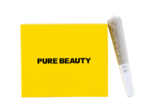 PURE BEAUTY - INDOOR PREROLL MULTIPACK - YELLOW BOX - 3.5G