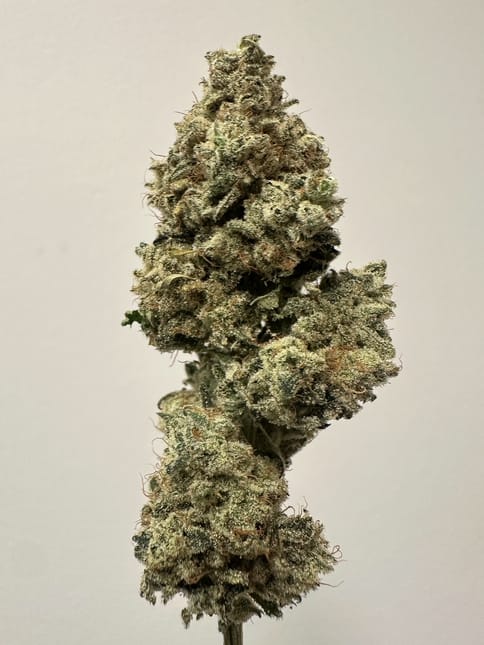 Alt Sol | Blue Limeade | 3.5g