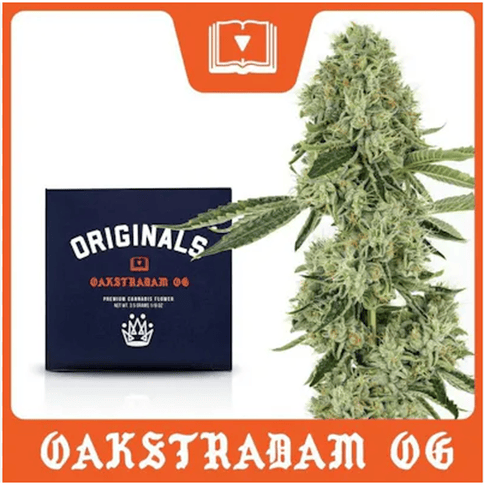 Originals - Oakstradam OG - 3.5g