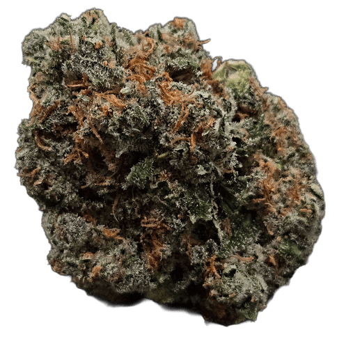 FLOWER | COCONUT CREAM | SATIVA DOMINANT HYBRID | 3.5 GRAMS | 1/8TH OZ