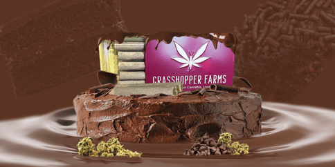 Chocolate Cake - Grasshopper Farms - Infused Multi-pack - Indica - (5x1) 5G**