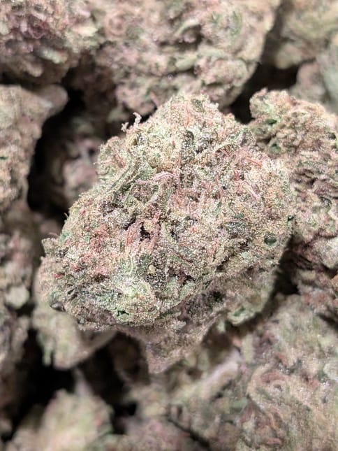 Banana Creme Deli Flower