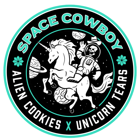 Space Cowboy