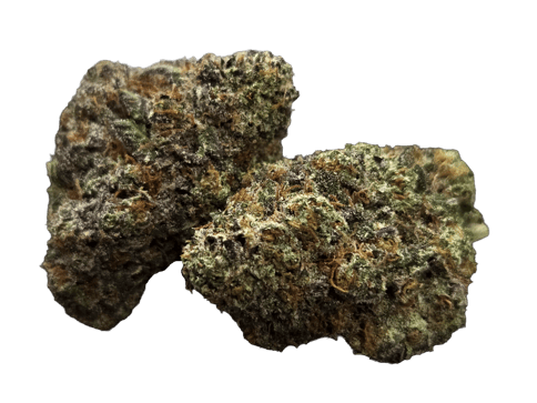 FLOWER | ALPINE GUAVA | SATIVA DOMINANT HYBRID | 1/8TH OZ | 3.5 GRAMS