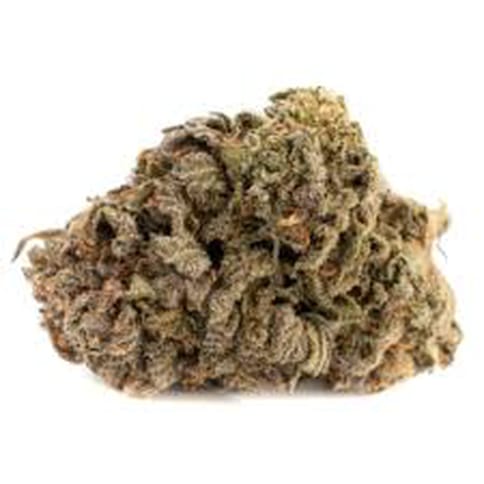 Sour Cherry Cola | 5.5⭐Exotic Flower | Yum Yum - 14g
