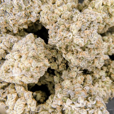 Blueberry Diesel - Deli Flower - $5/g