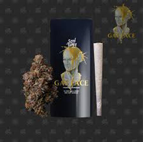 Gas Face - Seed Junky - Pre-Roll - 1g