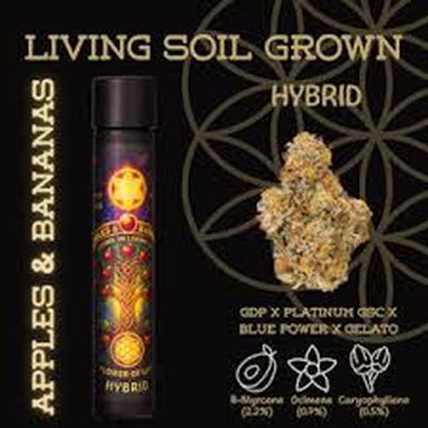 Apples & Bananas - Flower Of Life - Pre-Roll - Hybrid - 1G**