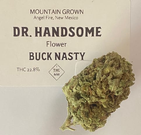 Dr. H | Buck Nasty | Preroll | 1 g