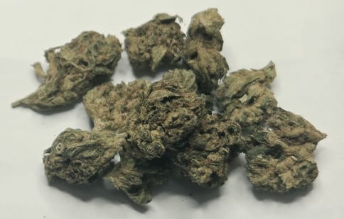 Snow G | Oz | Vandalia Organics |