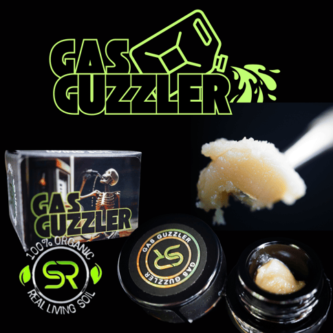 Gas Guzzler 1g Rosin