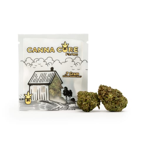 Canna Cure | Purple Zkittlez Dime Bag | Flower | 0.7g