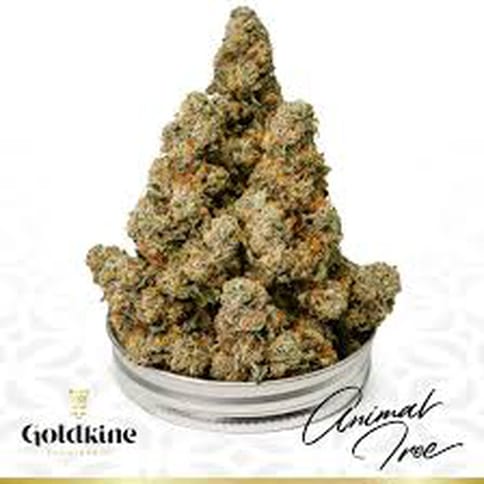 Animal Tree - Goldkine - Bulk Flower