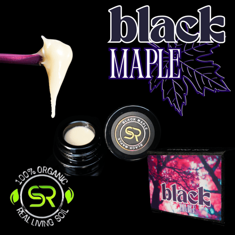 Black Maple 1g Rosin