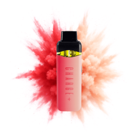 Watermelon Splash x Georgia Pie 2-Strain Disposable Vape - Disposable 2g