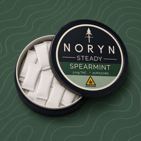 NORYN Pouch - - Spearmint Steady