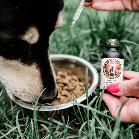 Twelve Paws | 50:1 Bacon Flavor Tincture | 50mg CBD:1mg THC