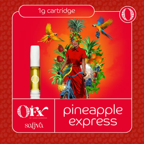 Sano Gardens Orchard Cartridge | Pineapple Express 1g Rec