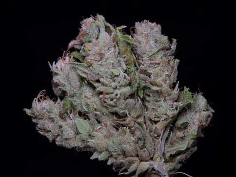 Piff Gas - Flower