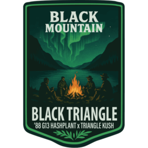 Black Triangle 0.5g Pre-roll by Black Mountain