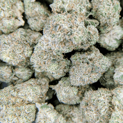 Florida Man - Deli Flower - $4/g