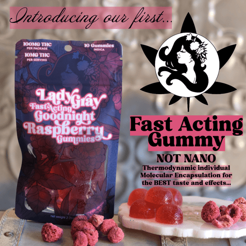 Goodnight Raspberry (100mg) Fast Acting Gummies by Lady Gray