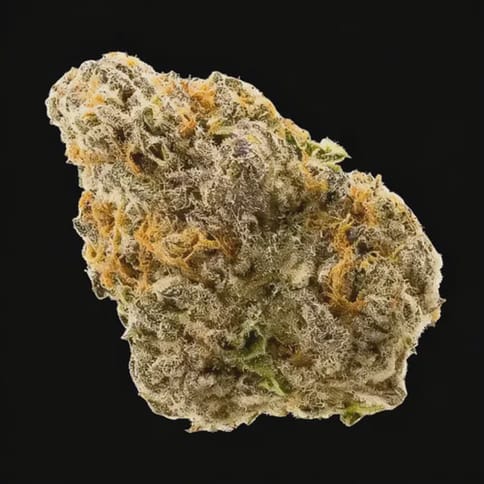 Bubble Gum Poppers | Premium Flower - | 7g