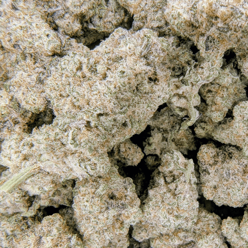 Not Just Another MAC 1 - Deli Flower - $6/g