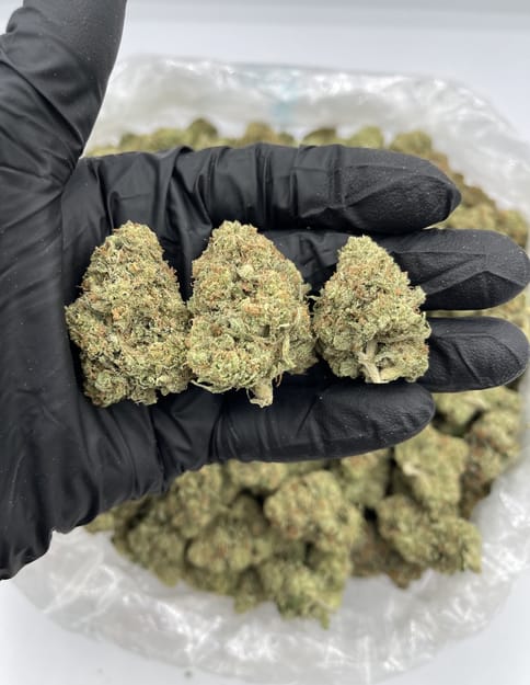 Exotic | Glacier - 1g