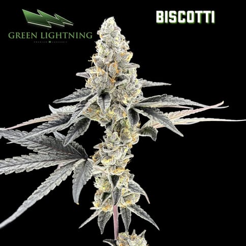 Biscotti (3.5g)