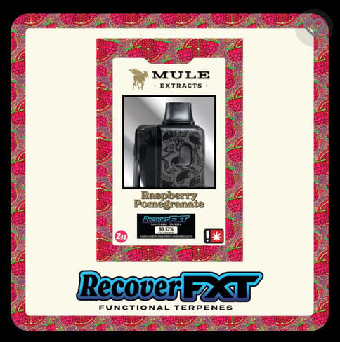 Mule FXT Tank | Raspberry Pomegranate 2g