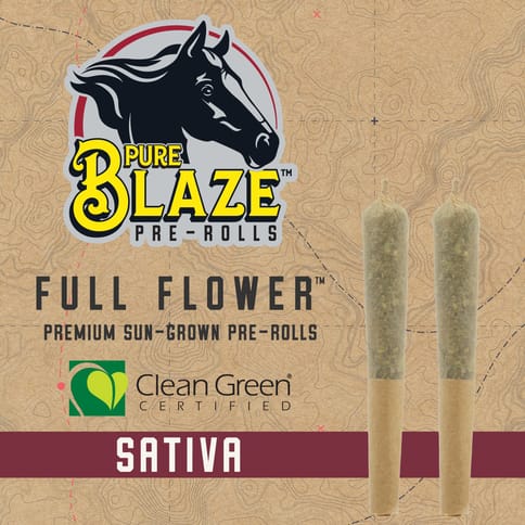 Pure Blaze | 1g Pachamama Pre-Roll | S |
