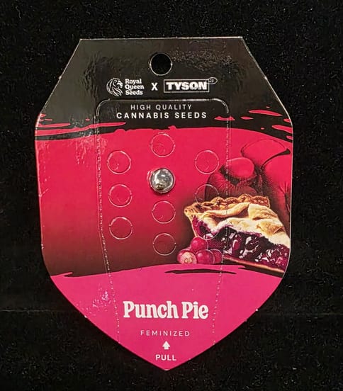 Feminized Seeds - Punch Pie (Royal X Tyson 2.0)