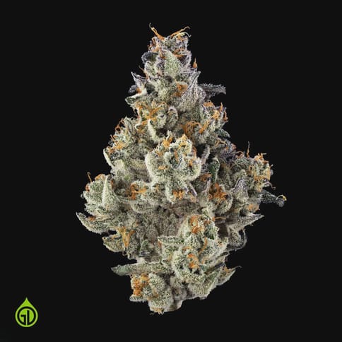 Green Dot | Final Boss | IH | Flower Jar | 3.5G