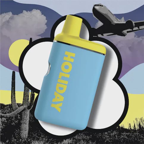 Holiday | Airplane Mode | Disposable Vape | 1G