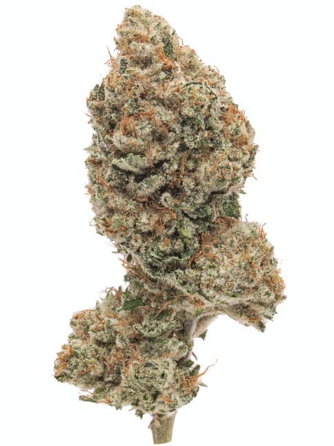 Exotic | Strawberries & Cream - | House Joint