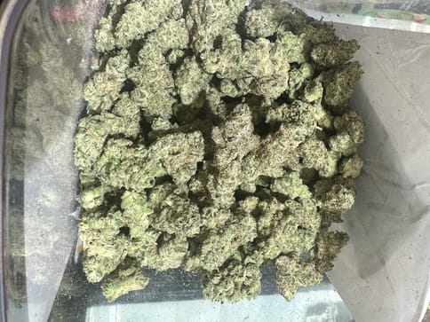 GMO (Resin Ranchers)