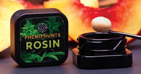 PHENO HUNTS- Orange Sherbert Live Rosin (1g)