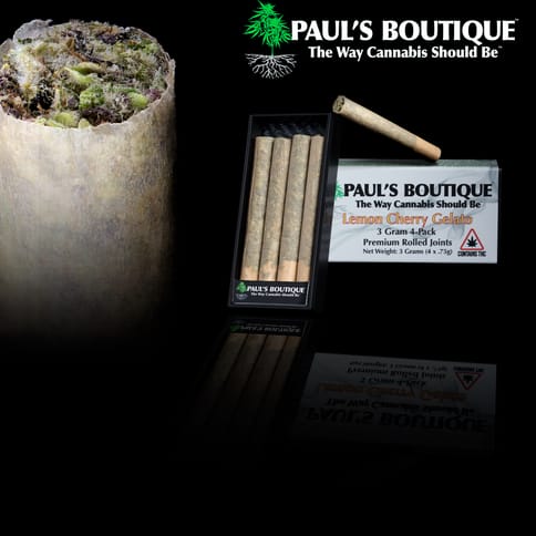 Preroll | 4 Pack | Passion Fruit