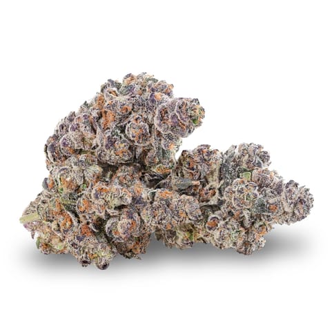 (REC) Shere Khan #12 - 3.5g
