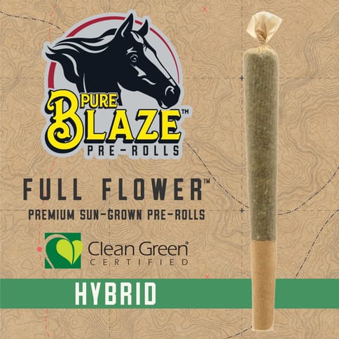 Pure Blaze | 1g Apple Fritter Pre-Roll | H |
