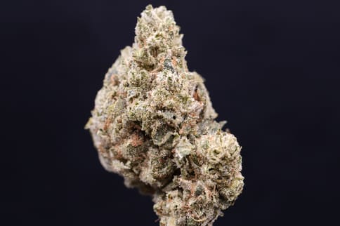 Deadhead OG (Future Farms)
