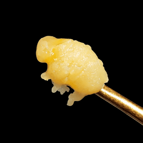 Forb. Runtz - Hybrid - Budder